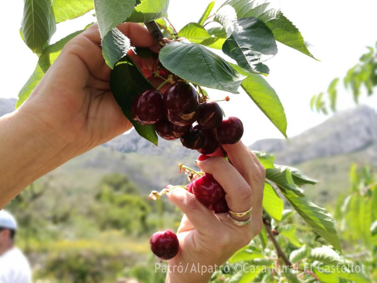Patró Buhardilla Rustica En La Vall De Gallineraアパートホテル エクステリア 写真