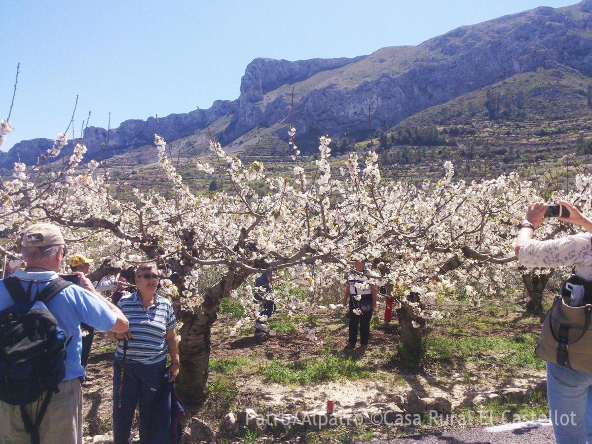Patró Buhardilla Rustica En La Vall De Gallineraアパートホテル エクステリア 写真